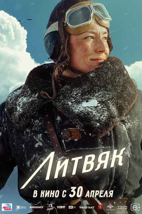 Литвяк постер